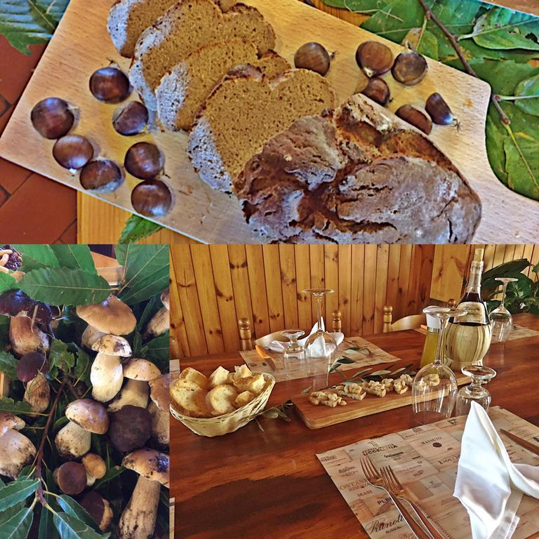 Agriturismo Bicocchi Villa Piteglio Екстериор снимка